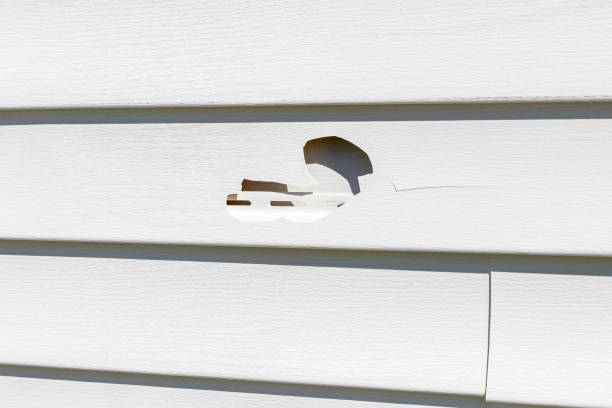 Best Shed Removal  in Lordstown, OH
